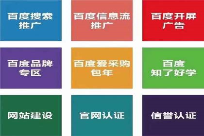 百度竞价代运营的成功案例：从零到一的突破